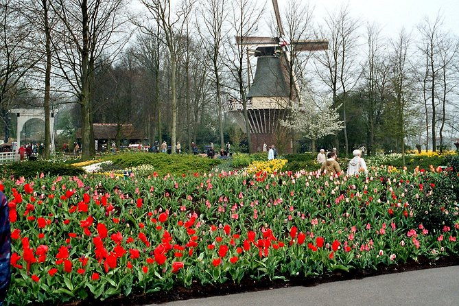 keukenhof-and-flower-fields-private-tour-from-amsterdam