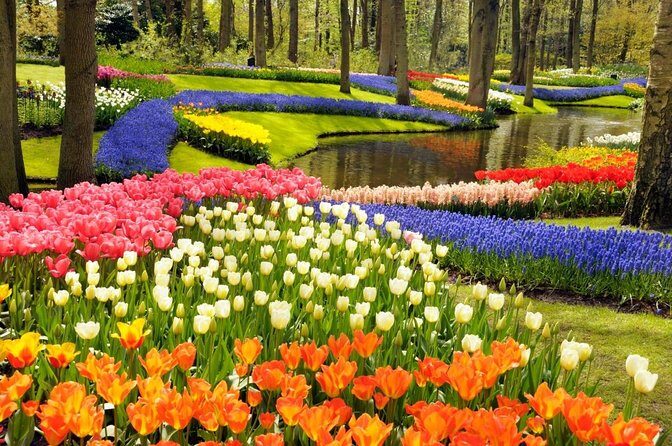 Keukenhof Entry Ticket plus Round-Trip Shuttle Bus from Amsterdam - Exploring Keukenhof with a Convenient Shuttle and Ticket Package