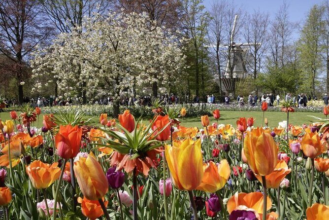 Keukenhof Entry Ticket plus Round-Trip Shuttle Bus from Amsterdam - The Complete Experience: A Deep Dive into the Tour