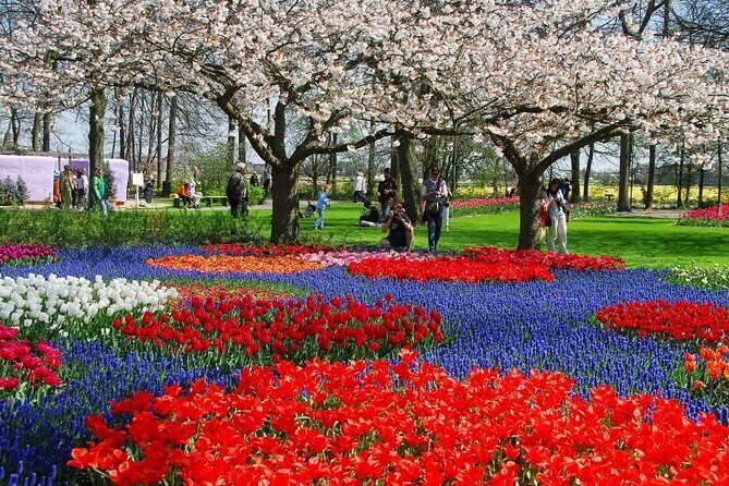 Keukenhof Entry Ticket plus Round-Trip Shuttle Bus from Amsterdam - Why This Tour Offers Great Value