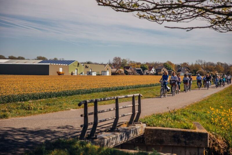 keukenhof-flower-fields-small-group-cultural-bike-tour