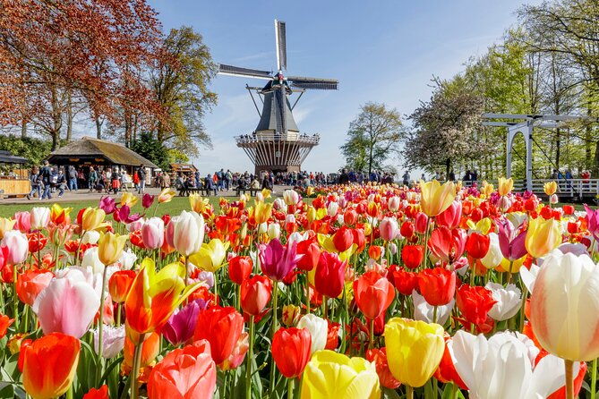 keukenhof-flower-fields-volendam-and-zaanse-schans-small-group-tour