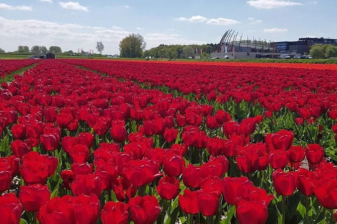 keukenhof-flowerfarm-tour-from-amsterdam-skip-the-line-tickets
