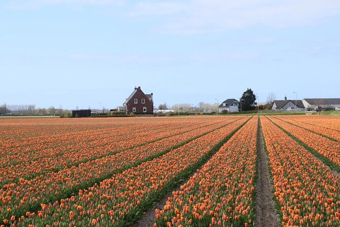 keukenhof-gardens-and-delft-guided-tour-from-amsterdam