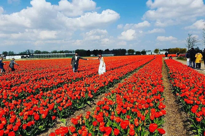 keukenhof-gardens-and-delft-guided-tour-from-amsterdam