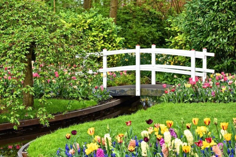keukenhof-gardens-and-tulip-experience-tour-from-amsterdam