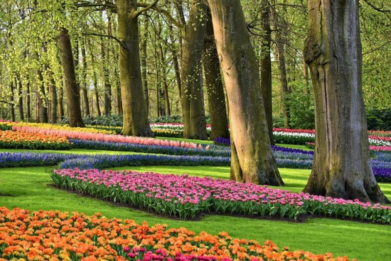 keukenhof-gardens-and-tulip-experience-tour-from-amsterdam