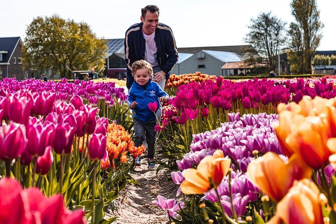 Keukenhof Gardens & Tulip Experience Tour from Amsterdam - What the Reviews Reveal: The Good, the Bad, and the Authentic Insights