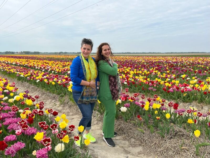 keukenhof-tulip-farm-flower-fields-windmills