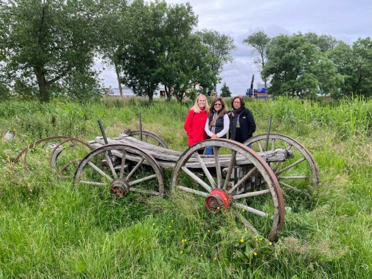 keukenhof-tulip-farm-flower-fields-windmills