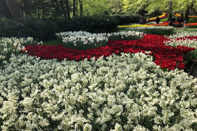 keukenhof-tulip-farm-flower-fields-zaanse-schans-windmills