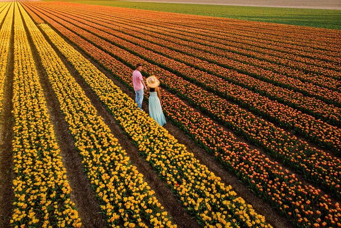 keukenhof-tulip-garden-tour