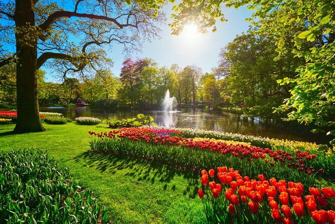 keukenhof-tulip-garden-tour