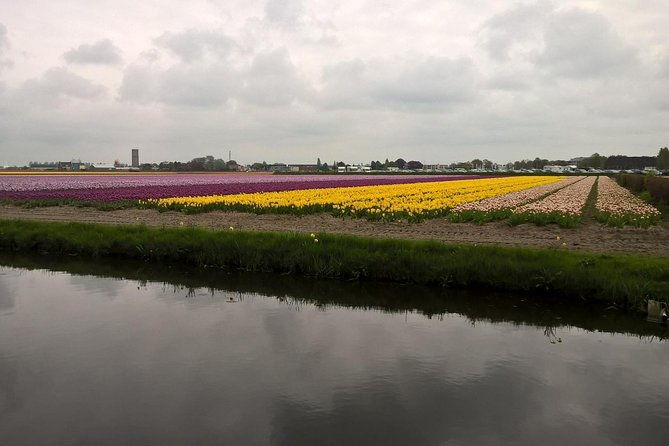 keukenhofs-tulips-and-windmills-small-group-tour-from-amsterdam