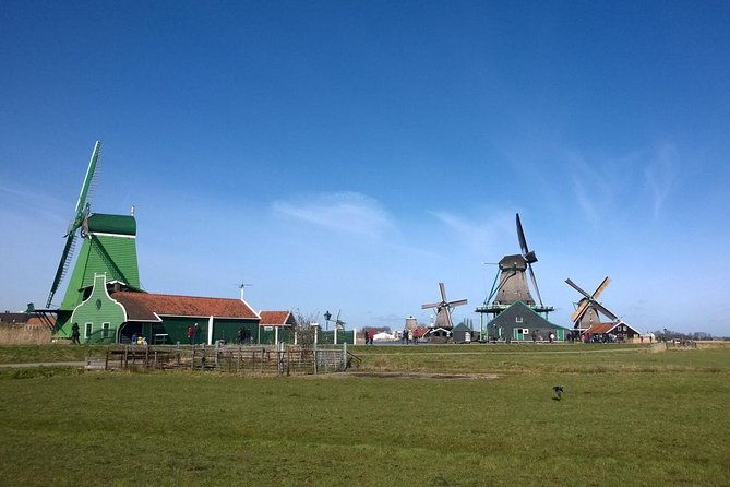 keukenhofs-tulips-and-windmills-small-group-tour-from-amsterdam