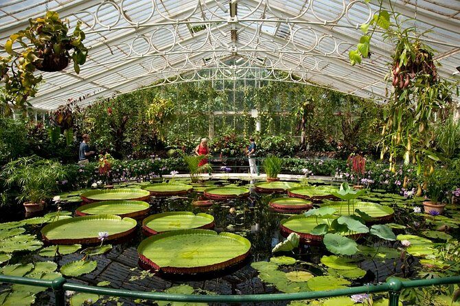 Kew Gardens Entrance Ticket - The Practical Side: Planning Your Visit