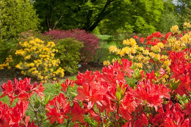 Kew Gardens Entrance Ticket - FAQs