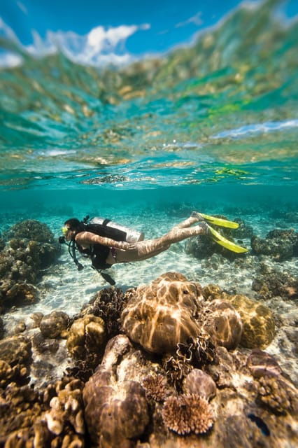 key-largo-molasses-reef-novice-to-intermediate-dive