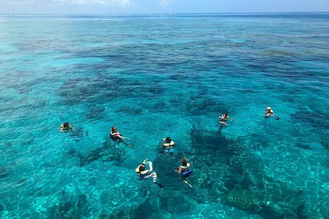 Key West Afternoon Reef Snorkeling with Open Bar - Final Thoughts