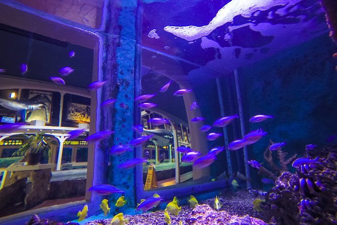 key-west-aquarium-admission-2
