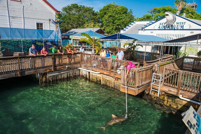 key-west-aquarium-admission-2