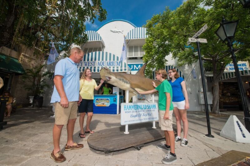Key West Aquarium Tickets - Introduction to the Key West Aquarium