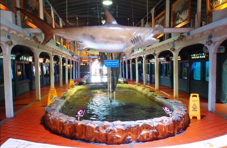 Key West Aquarium Tickets - Analyzing the Value