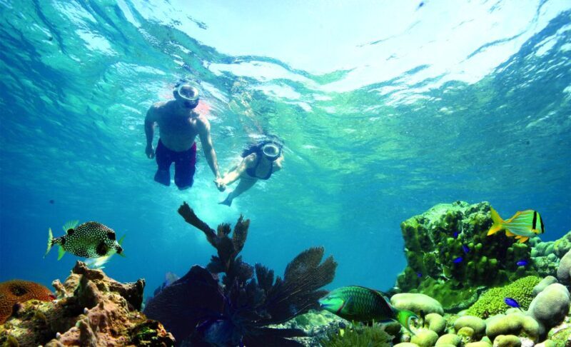 Key West: Dolphin Watching and Snorkeling Eco Cruise Tour - FAQs