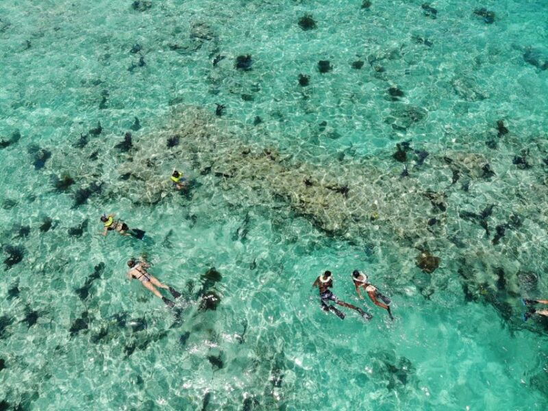 key-west-dolphin-watching-and-snorkeling-sunset-cruise