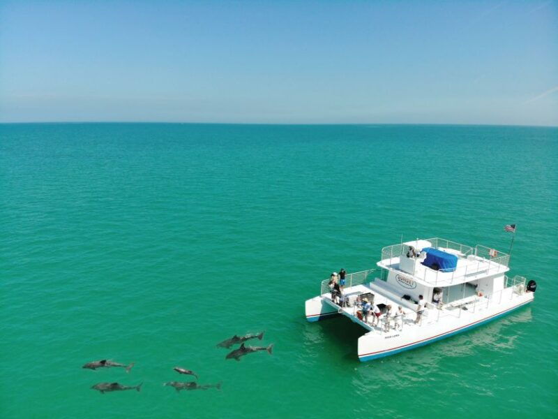 key-west-dolphin-watching-and-snorkeling-sunset-cruise