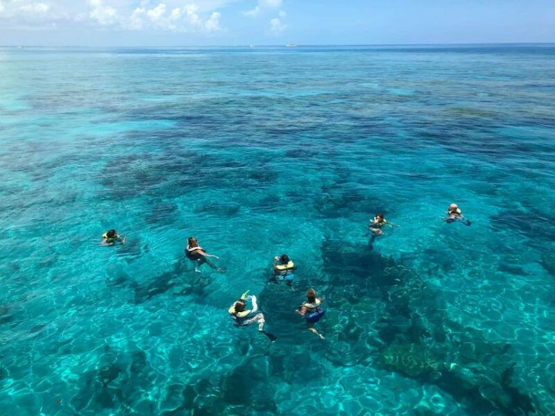 key-west-dolphin-watching-and-snorkeling-sunset-cruise