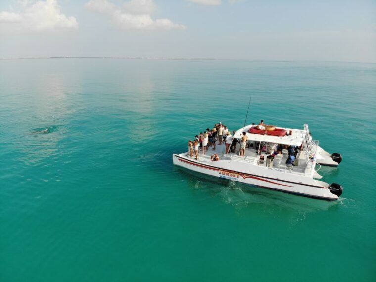 key-west-dolphin-watching-and-snorkeling-sunset-cruise
