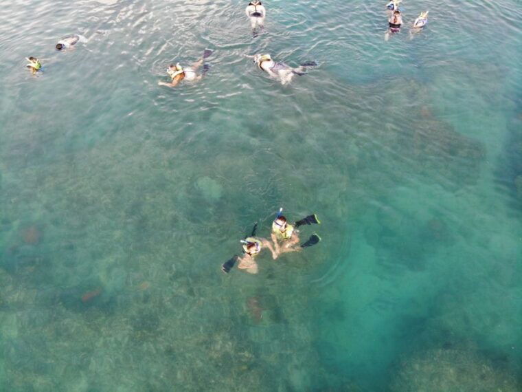 key-west-dolphin-watching-and-snorkeling-sunset-cruise