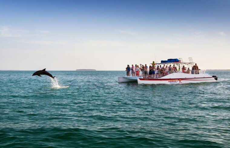 key-west-dolphin-watching-and-snorkeling-sunset-cruise