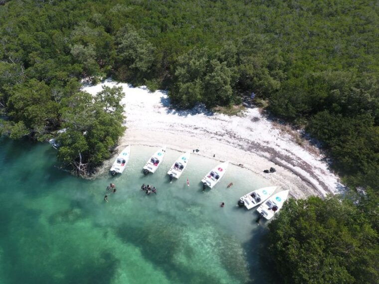 key-west-eco-safari-sandbar-tour-with-snorkeling