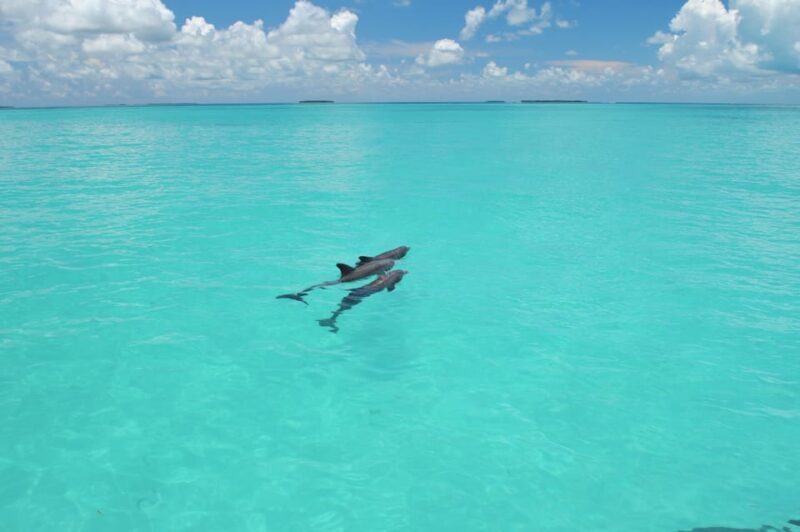 Key West: Glass Bottom Boat Reef Tour with Sunset Option - Practical Details and Logistics