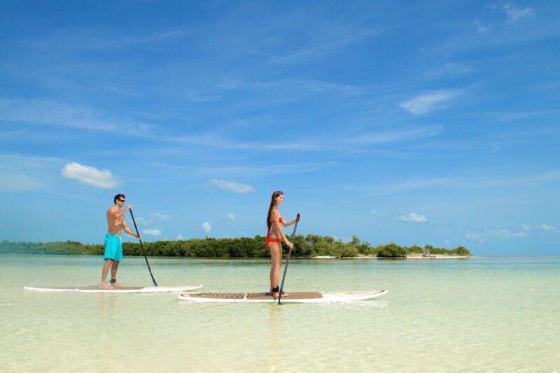 Key West: Island Adventure Explore the Hidden Backcountry - Key West: Island Adventure Explore the Hidden Backcountry