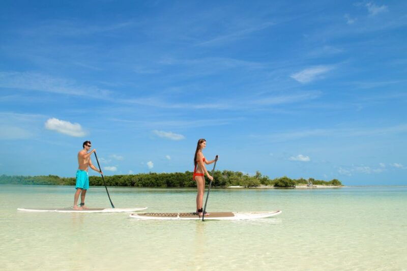 key-west-island-adventure-explore-the-hidden-backcountry