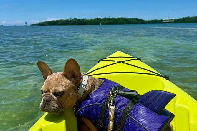 key-west-kayak-eco-tour-an-eco-friendly-adventure-awaits
