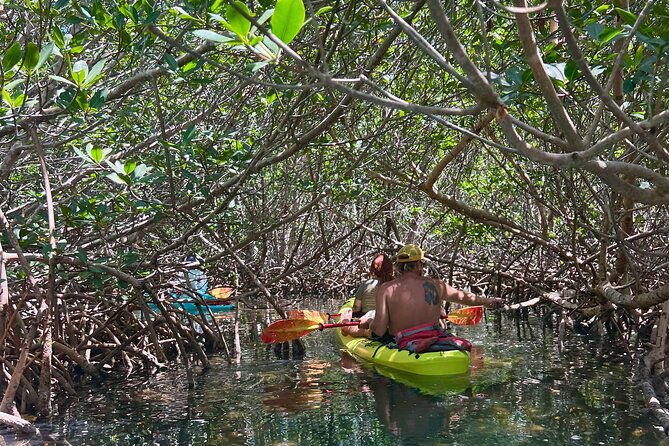 key-west-kayak-eco-tour-an-eco-friendly-adventure-awaits