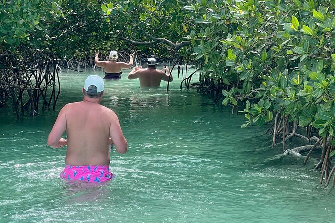 key-west-kayak-eco-tour-an-eco-friendly-adventure-awaits