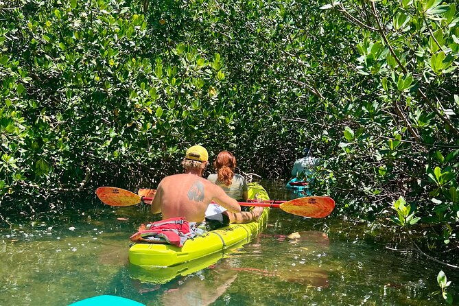 key-west-kayak-eco-tour-an-eco-friendly-adventure-awaits