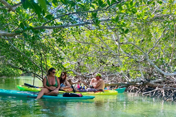 key-west-kayak-eco-tour-an-eco-friendly-adventure-awaits