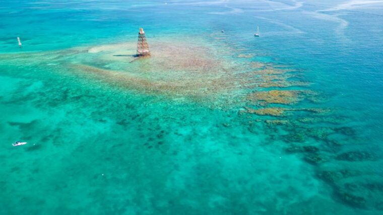 key-west-reef-snorkel-morning-tour-with-breakfast-mimosas