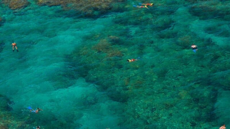 Key West: Reef Snorkeling with Drinks and Sunset Option - The Experience in Detail