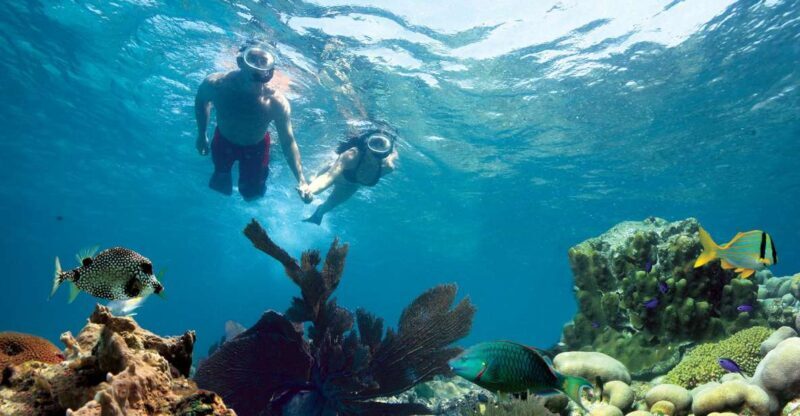 Key West: Reef Snorkeling with Drinks and Sunset Option - Practical Tips for Travelers
