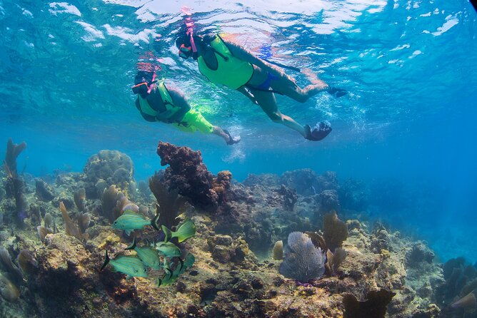 key-west-rum-and-reggaereef-snorkel-adventure-and-sunset-sail