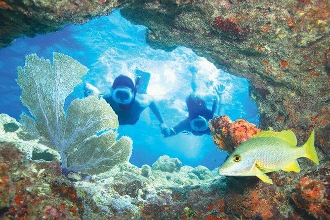key-west-rum-and-reggaereef-snorkel-adventure-and-sunset-sail