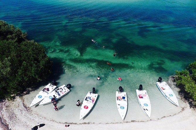 Key West Safari Eco Sandbar Tour Adventure with Snorkeling - The Itinerary: What You Can Expect