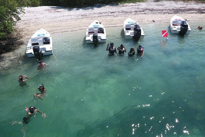 Key West Safari Eco Sandbar Tour Adventure with Snorkeling - The Itinerary in Detail